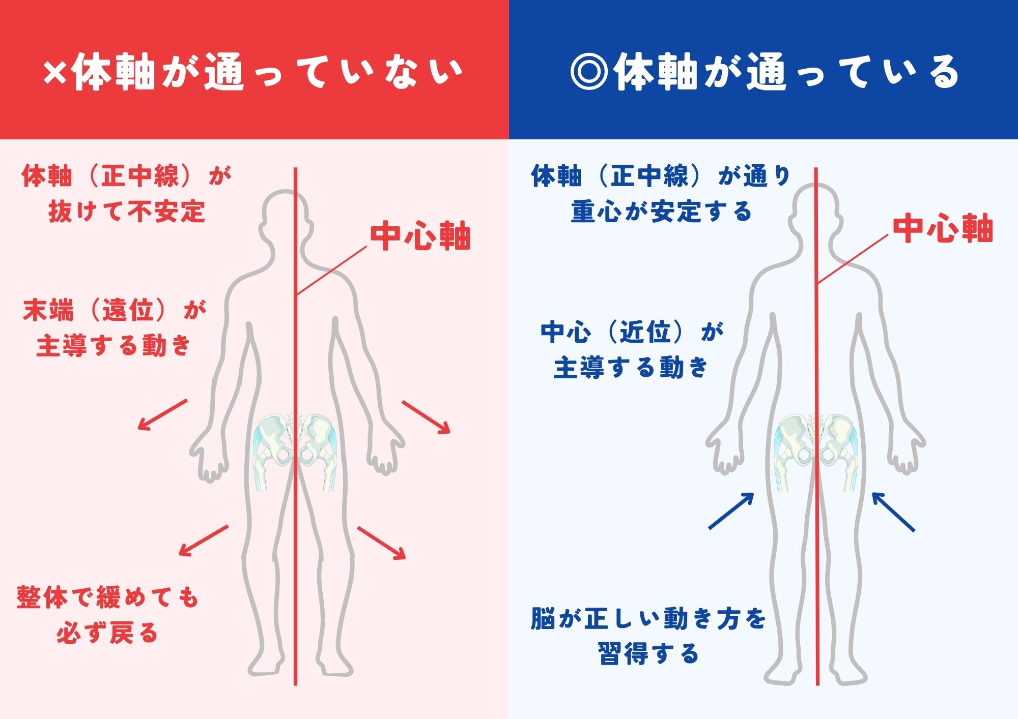 体軸が通っていないカラダと通っているカラダの比較